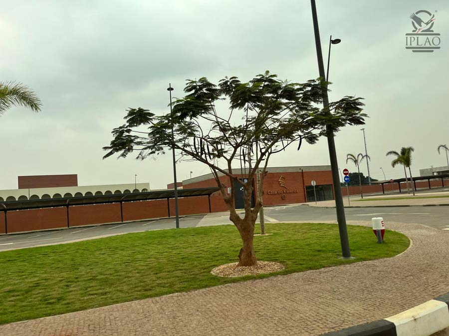 Pierwsze informacje z wyjazdu do Angoli