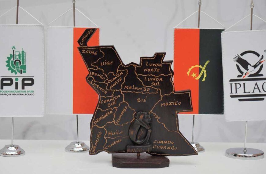 Polska Strefa Ekonomiczna / Polish Industrial Park